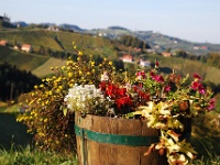 Südsteirische Weinimpressionen